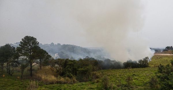 investigacao-incendios-sao-paulo-paulo-pinho-conexao-planeta