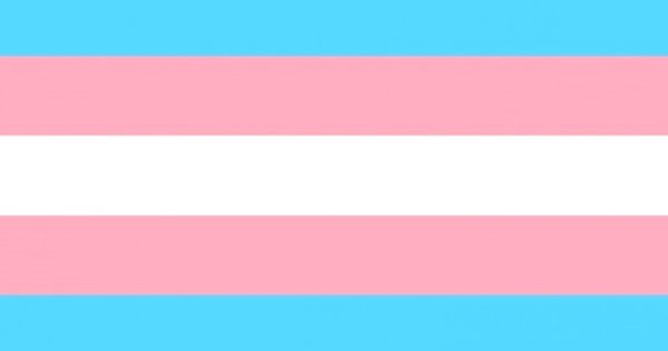 janeiro-lilas-pede-e-celebra-respeito-a-pessoas-trans