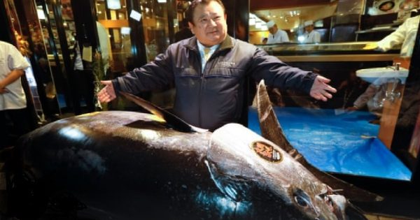 Japonês, “Rei do Sushi”, compra em leilão atum, espécie em risco de extinção, por US$ 3,1 milhões