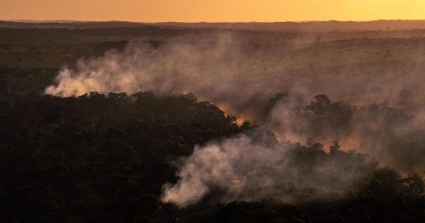 Deforestation and Fire Monitoring in the Amazon in July, 2020Monitoramento de Desmatamento e Queimadas na Amazônia em Julho de 2020