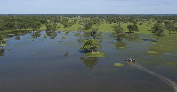 lei-do-pantanal-conexao-planeta