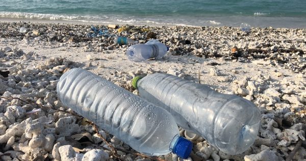 lixo-no-paraiso-maldivas-conexao-planeta