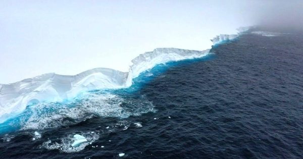 maior-iceberg-mundo-conexao-planeta