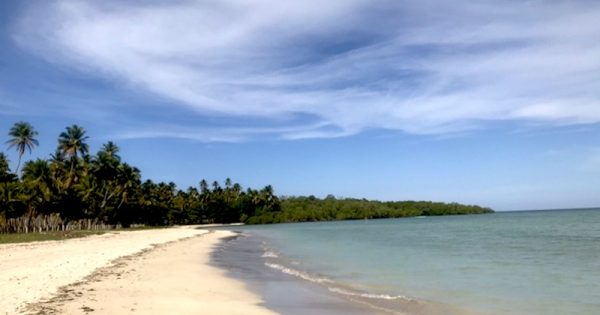 manguezal-e-restinga-praia-de-marau-bahia-foto-monica-nunes