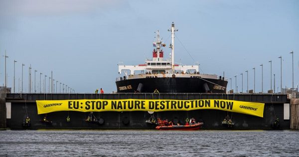 manifestantes-navio-soja-brasil-holanda-conexao-planeta