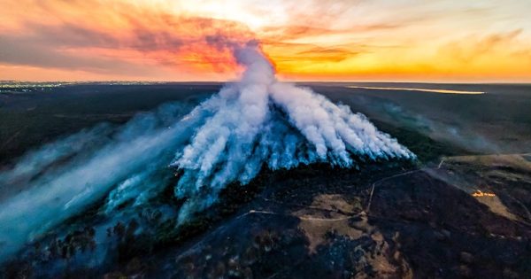 manifesto-emergencia-climatica-brasil-ricardo-stuckert-conexao-planeta