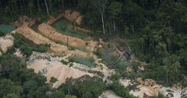 Mapa inédito revela áreas de garimpo ilegal em terras indígenas e unidades de conservação na Amazônia