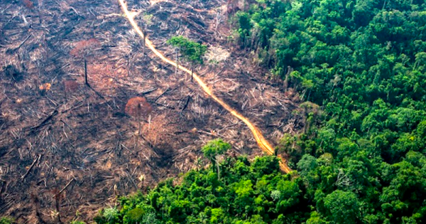 mata-atlantica-desmatamento-cresce-2019-2020-foto2-lilo-clareto-ISA