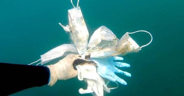 mergulhadores-encontram-mascaras-luvas-protecao-no-mar-da-Riviera-Francesa-pandemia-foto4-operation-mer-propre