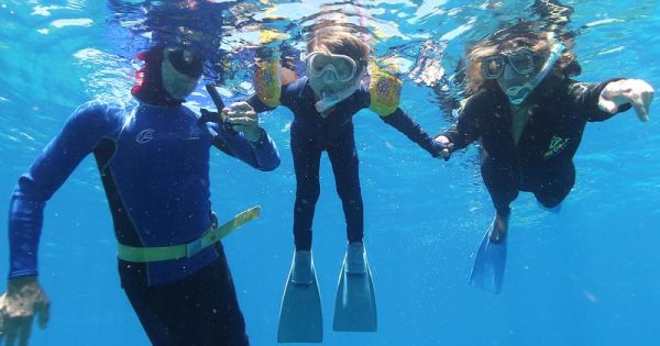 O mergulho emocionante de uma ambientalista com seu filho na Grande Barreira de Corais