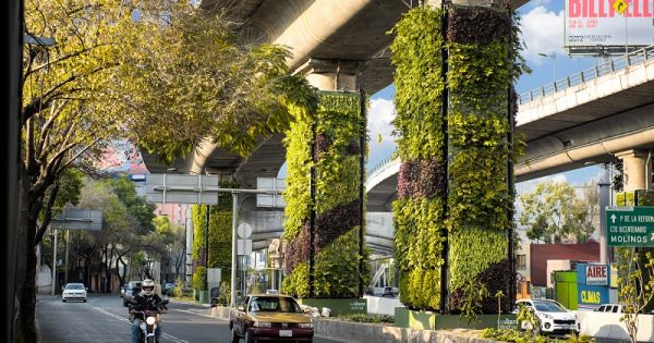 México combate a poluição com a instalação de jardins verticais
