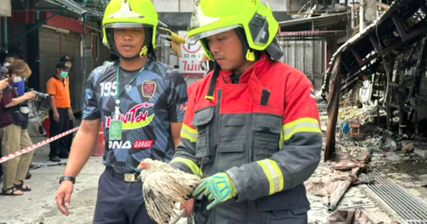 mil-animais-morrem-em-incendio-em-mercado-de-chatuchak-foto-chatuckak-district-office-divulgacao2