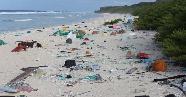 Milhões de toneladas de plástico são encontradas em um das ilhas mais remotas do planeta
