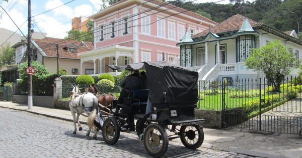 Moradores de Petrópolis votam pelo fim dos passeios de charretes com cavalos