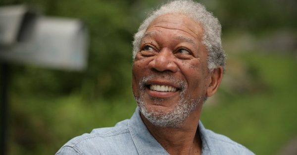 Morgan Freeman transforma sua fazenda em um santuário para as abelhas