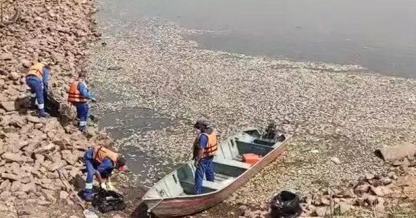 morte-peixes-sao-paulo-conexao-planeta