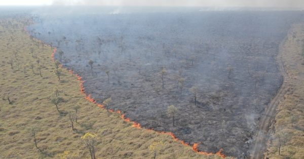 multa-incendio-ferrovia-ibama-conexao-planeta