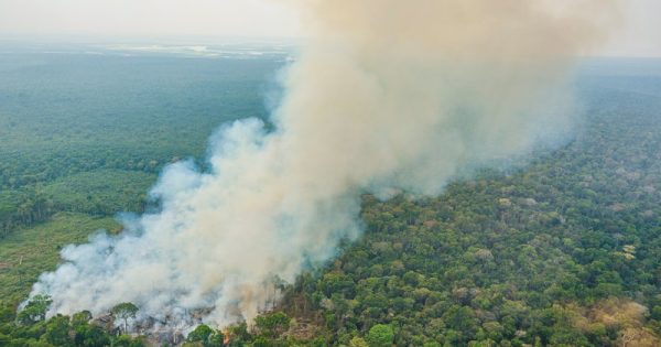 multa-queimada-amazonia-ricardo-stuckert-conexao-planeta