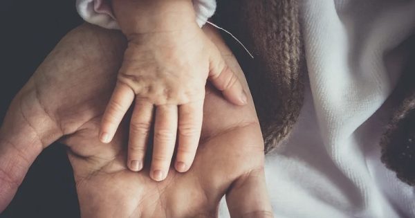 nova-zelandia-licenca-aborto-conexao-planeta