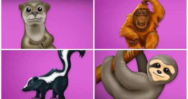 Preguiça, lontra, gambá e orangotango estão entre novos emojis de 2019