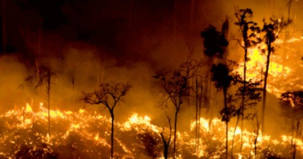 o-brasil-esta-pegando-fogo-foto-greenpeace