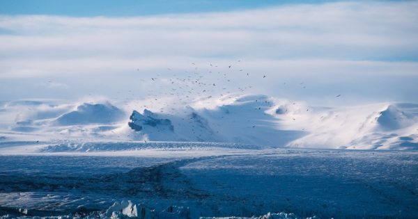 geleiras do ártico sofrem com aquecimento global