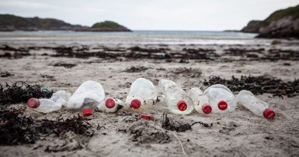 Coca-Cola assume compromisso mundial de dar destino correto a 100% de suas embalagens até 2030