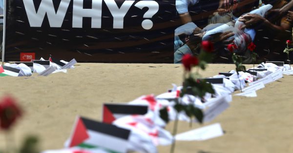ong-rio-de-paz-protesta-contra-massacre-de-criancas-palestinas-em-gaza-foto-tania-rego-agencia-brasil0