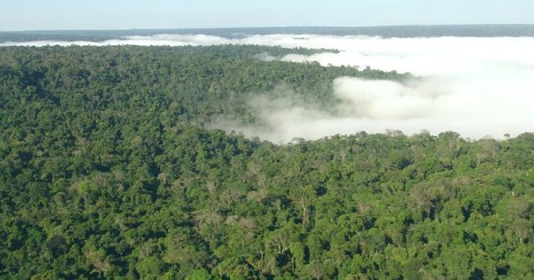 orcamento-meio-ambiente-brasil-2018-menor-cinco-anos-conexao-planeta