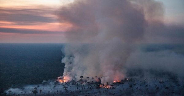 Fire Monitoring in the Amazon in BrazilMonitoramento de Desmatamento e Queimadas na Amazônia em Agosto de 2023