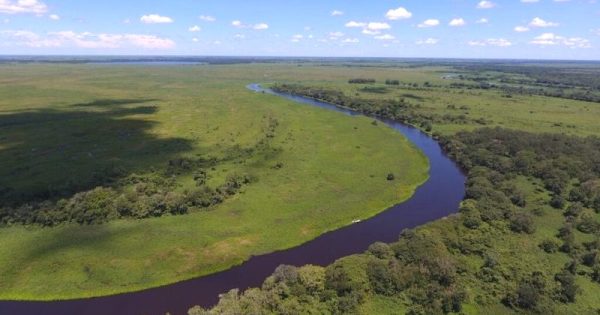pantanal-estacao-ecologica-de-taiama-foto-daniel-kantek-icmbio