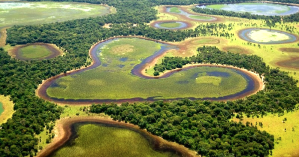 pantanal-foto-jose-sabino-natureza-em-foco2