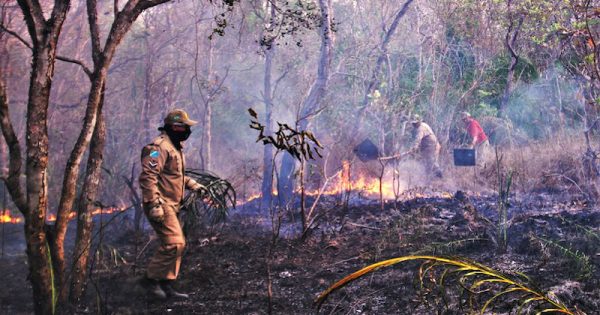 pantanal-incendio-foto-saul-scharam5-fotos-publicas