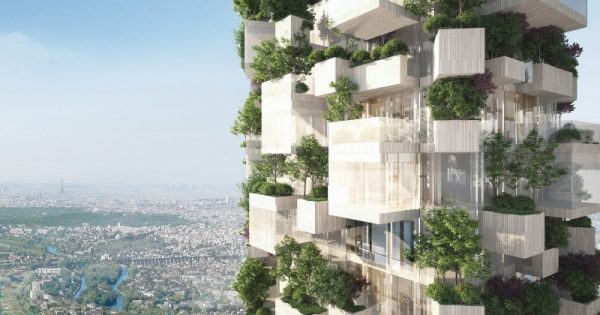 Paris vai ganhar sua primeira floresta vertical