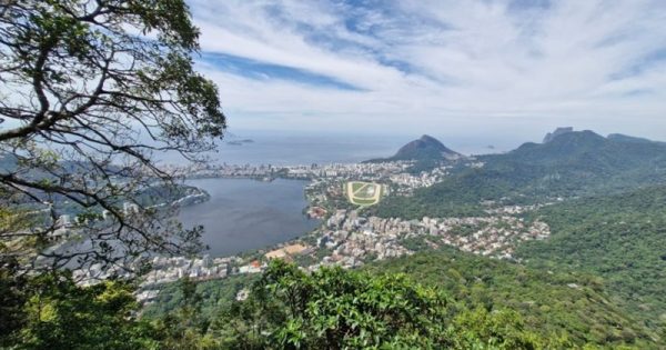 parque-tijuca-nova-trilha-leonardo-freitas-conexao-planeta