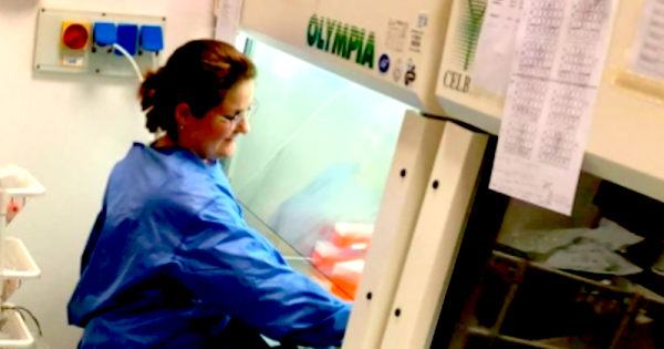 pesquisadora-brasileira-rafaela-rosa-ribeiro-testes-contra-coronavirus-italia-foto