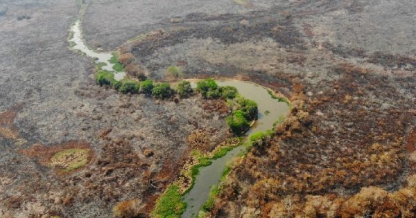 pesquisadores-analisam-impacto-incendios-agua-pantanal-conexao-planeta