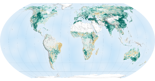 O planeta está mais verde graças à Índia e à China