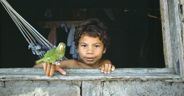 pobreza-brasil-conexao-planeta