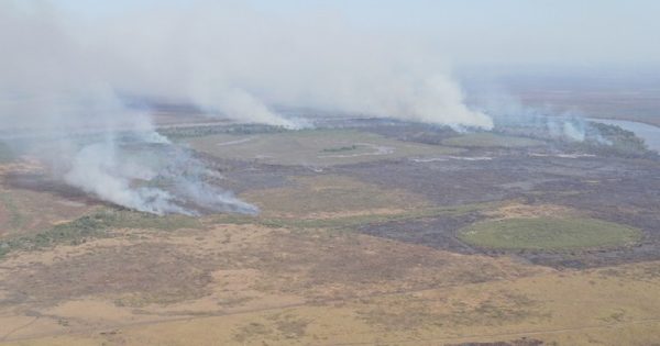 policia-federal-prisao-suspeitos-incendio-pantanal-conexao-planeta