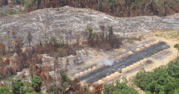 Políticos da bancada ruralista são cúmplices da destruição da Amazônia, com apoio de multinacionais, denuncia ONG Amazon Watch