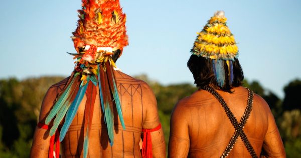 The Munduruku people have inhabited the Sawré Muybu in the heart of the Amazon, for generations. The Brazilian government plans to build a series of dams in the Tapajós River basin, which would severely threaten their way of life. In addition to preserving their way of life, the demarcation of Sawré Muybu ensures the conservation of 178,000 hectares of Amazonian rainforest.
O povo Munduruku habita a Terra Indígena Sawré Muybu, no coração da Amazônia, há gerações. Mas seu modo de vida está ameaçado pelos planos do governo brasileiro de construir um complexo de barragens na bacia do Rio Tapajós. Por isso, os Munduruku começaram a sinalizar o território auto-demarcado e pedem pela demarcação definitiva. Além de garantir a manutenção do modo de vida deste povo, a demarcação de Sawré Muybu garante a conservação de 178 mil hectares de floresta amazônica. Foto: Rogério Assis/Greenpeace.