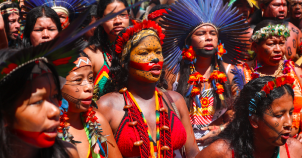 povos-indigenas-brasileiros-reivindicam-copresodencia-da-COP30-em-belem-para-foto-fabio-rodrigues-pozzebom-agencia-brasil