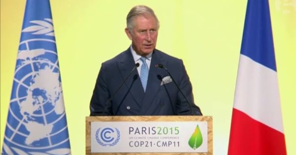 Príncipe Charles diz que não há plano B para mudanças climáticas sem florestas