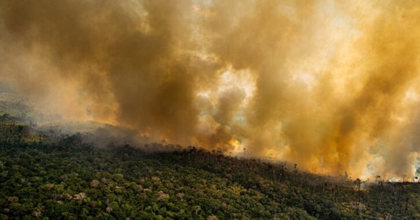 programas-amazonia-suspensao-financiamento-eua-conexao-planeta