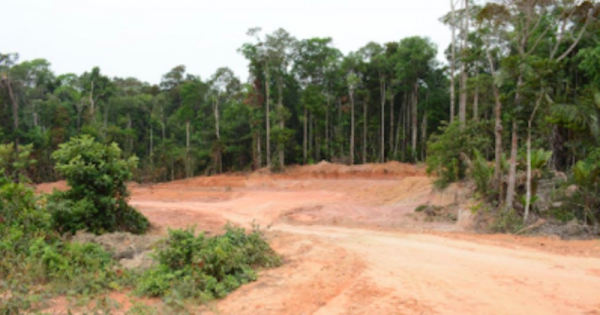 projeto-permite-asfaltar-estrada-na-amazonia-sem-licenca-foto-vandre-fonseca-oeco