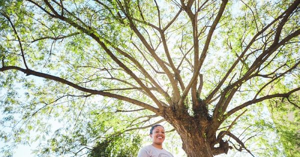 projeto dá voz às àrvores do sul do Brasil
