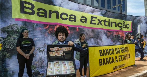 protesto-greenpeace-bb-tuane-fernandes-conexao-planeta