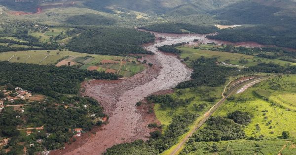 Quase 270 hectares de vegetação da Mata Atlântica foram destruídos com rompimento de barragem, em Brumadinho