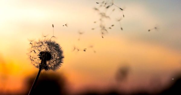 que-tal-consumir-menos-e-com-proposito-2020-2021-foto-David-Zawilla-unsplash